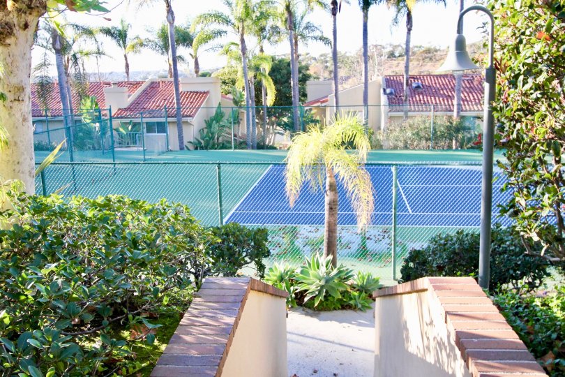 Cancun Racquet Club Condos, Lofts & Townhomes For Sale Cancun Racquet