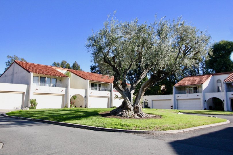 Casitas Capistrano Condos, Lofts & Townhomes For Sale Casitas