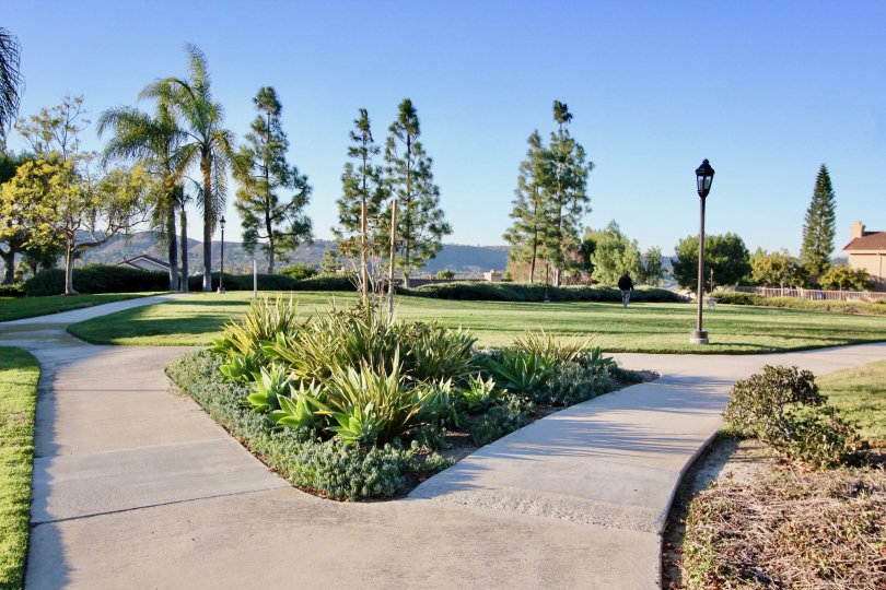 San Juan Hills Condos, Lofts & Townhomes For Sale San Juan Hills Real