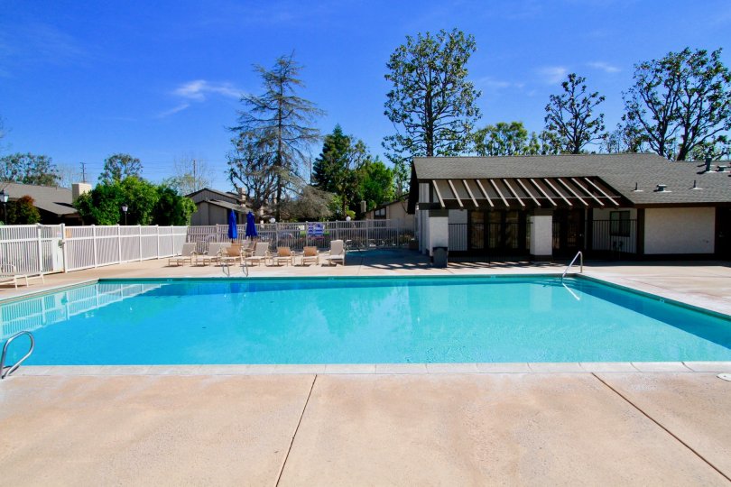 Shady Hollow Condos, Lofts & Townhomes For Sale Shady Hollow Real