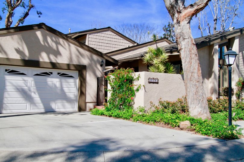 Shady Hollow Condos, Lofts & Townhomes For Sale Shady Hollow Real