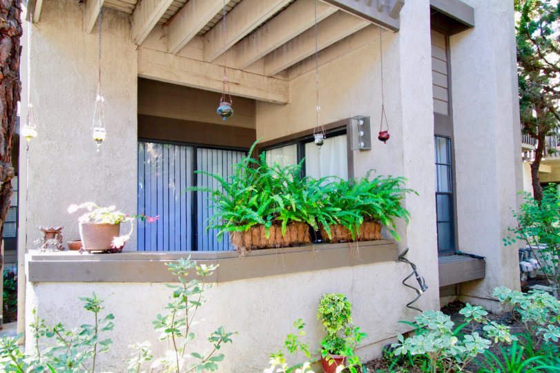 Woodlake Condos, Lofts & Townhomes For Sale Woodlake Real Estate