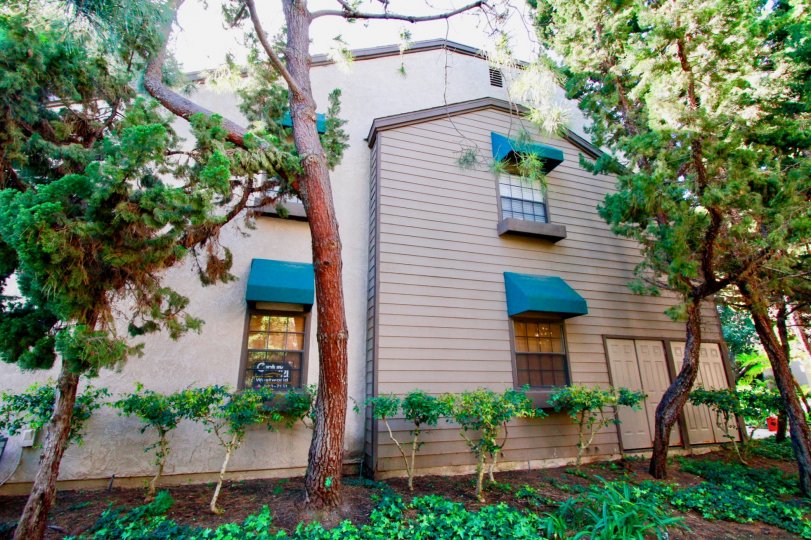 Woodlake Condos, Lofts & Townhomes For Sale Woodlake Real Estate