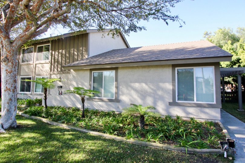 Bradford Place Condos, Lofts & Townhomes For Sale Bradford Place Real