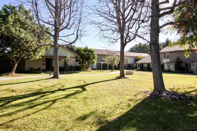 Bradford Place Condos, Lofts & Townhomes For Sale Bradford Place Real