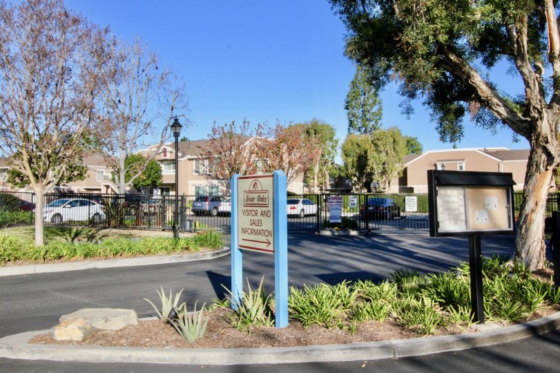 Briar Oaks Condos, Lofts & Townhomes For Sale Briar Oaks Real Estate