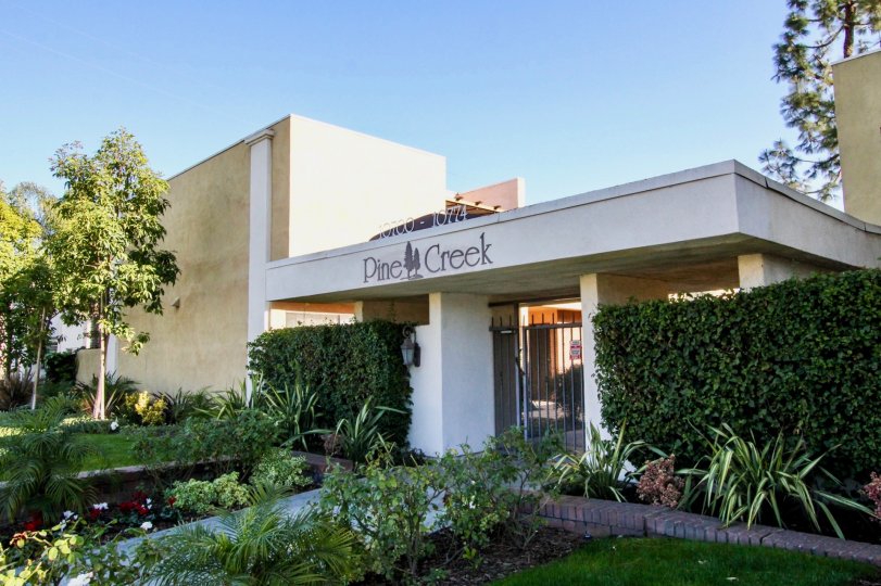 Pine Creek Condos, Lofts & Townhomes For Sale Pine Creek Real Estate