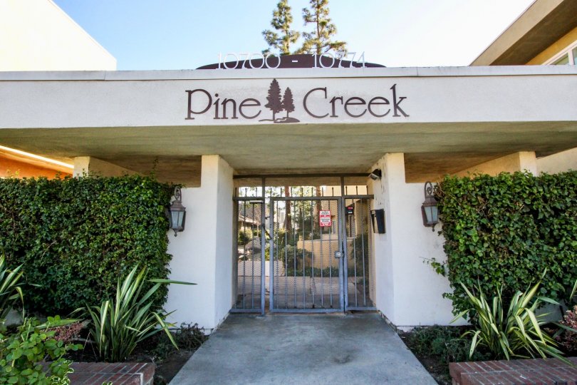 Pine Creek Condos, Lofts & Townhomes For Sale Pine Creek Real Estate