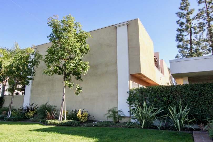 Pine Creek Condos, Lofts & Townhomes For Sale Pine Creek Real Estate