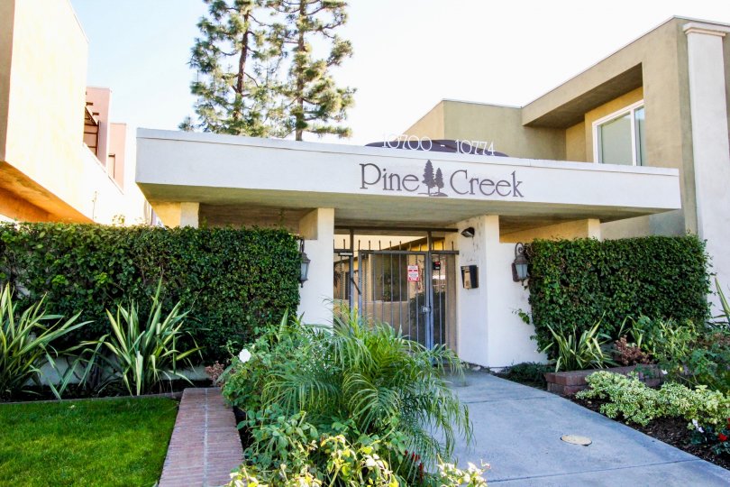 Pine Creek Condos, Lofts & Townhomes For Sale Pine Creek Real Estate