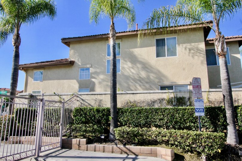 Serena Condos, Lofts & Townhomes For Sale Serena Real Estate Serena