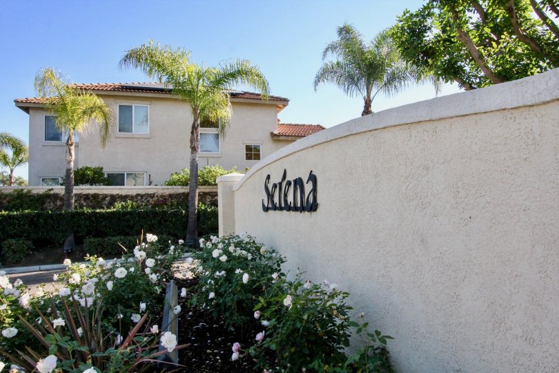 Serena Condos, Lofts & Townhomes For Sale Serena Real Estate Serena, Stanton CA