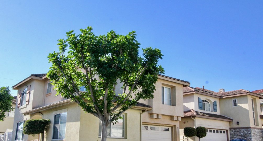 Serena Condos, Lofts & Townhomes For Sale Serena Real Estate Serena