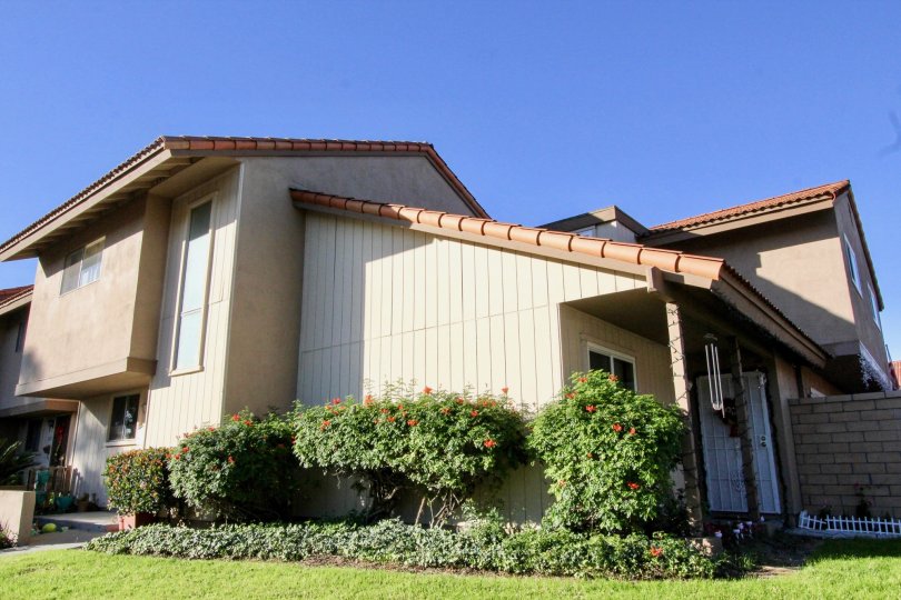 Summertree Condos, Lofts & Townhomes For Sale Summertree Real Estate