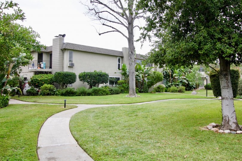 Brighton Terrace Condos, Lofts & Townhomes For Sale Brighton Terrace