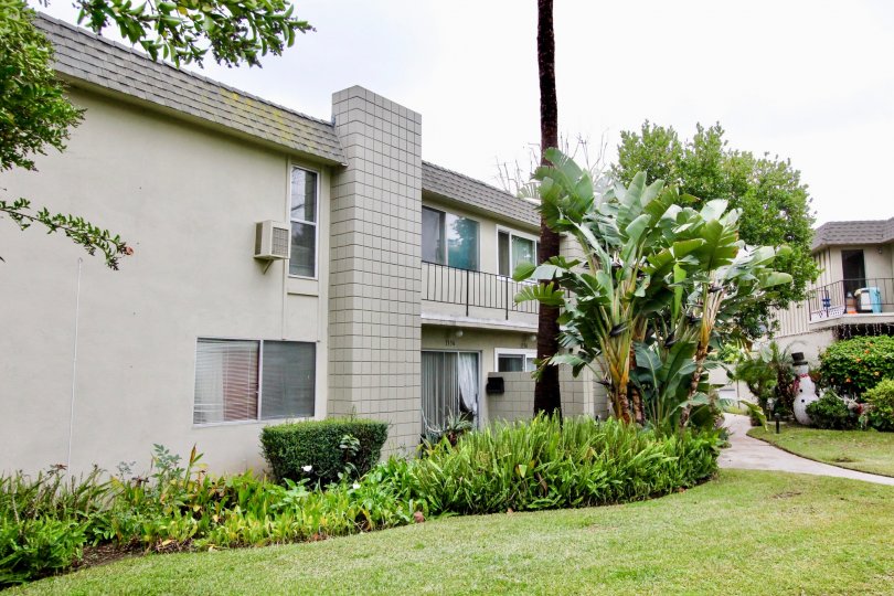 Brighton Terrace Condos, Lofts & Townhomes For Sale Brighton Terrace