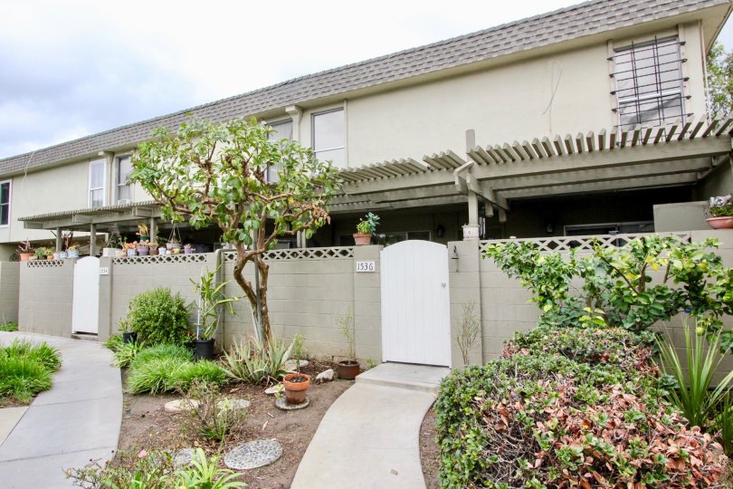 Brighton Terrace Condos, Lofts & Townhomes For Sale Brighton Terrace