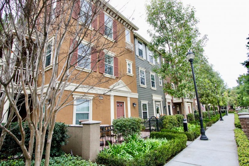 Camden Place Condos, Lofts & Townhomes For Sale Camden Place Real