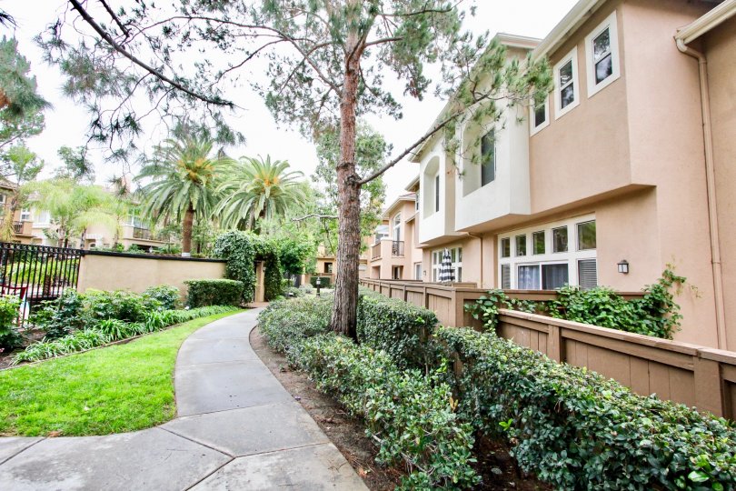 Cantada Condos, Lofts & Townhomes For Sale Cantada Real Estate