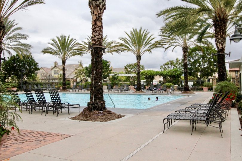 Clarendon Condos, Lofts & Townhomes For Sale Clarendon Real Estate