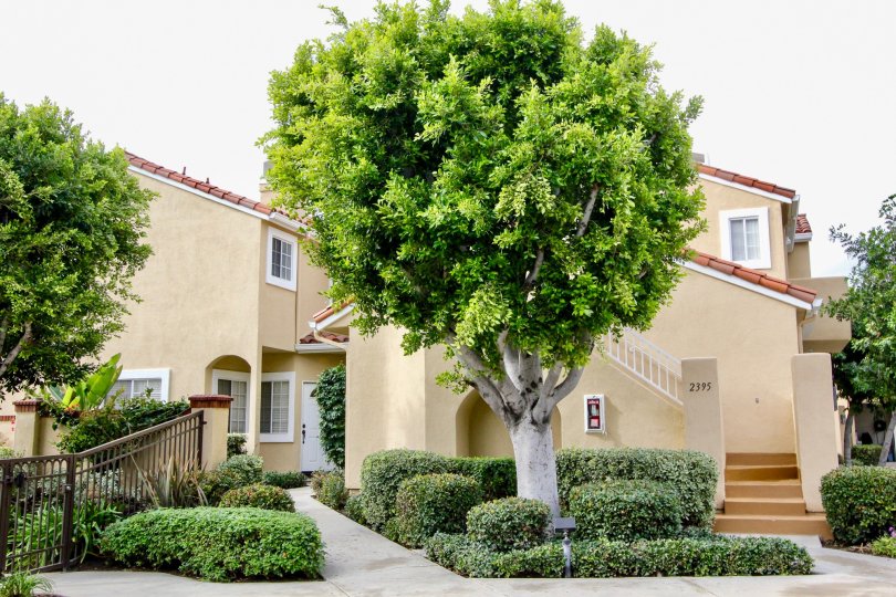 Estancia Condos, Lofts & Townhomes For Sale Estancia Real Estate