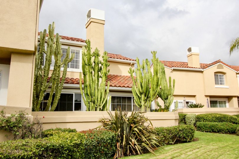 Estancia Condos, Lofts & Townhomes For Sale Estancia Real Estate