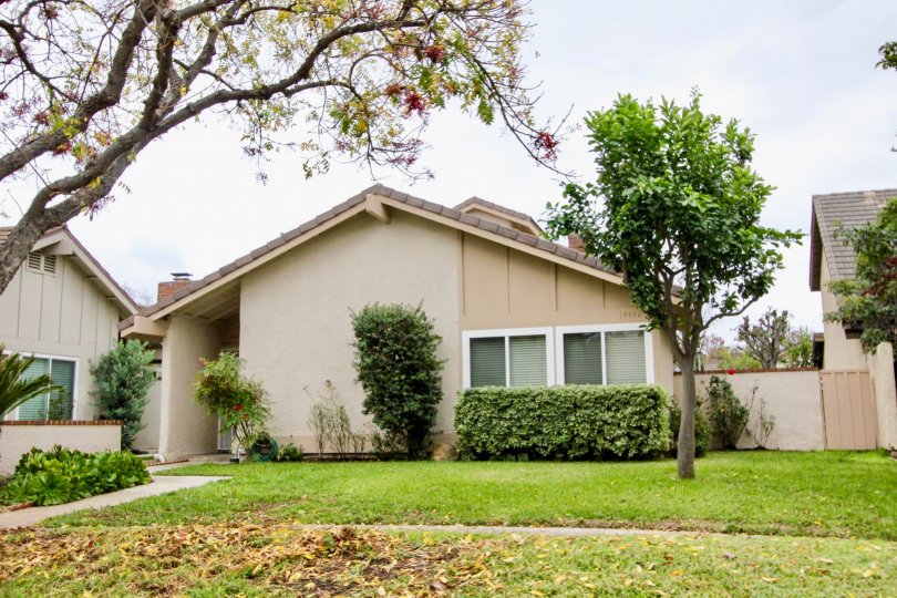 Laurelwood Condos, Lofts & Townhomes For Sale Laurelwood Real Estate