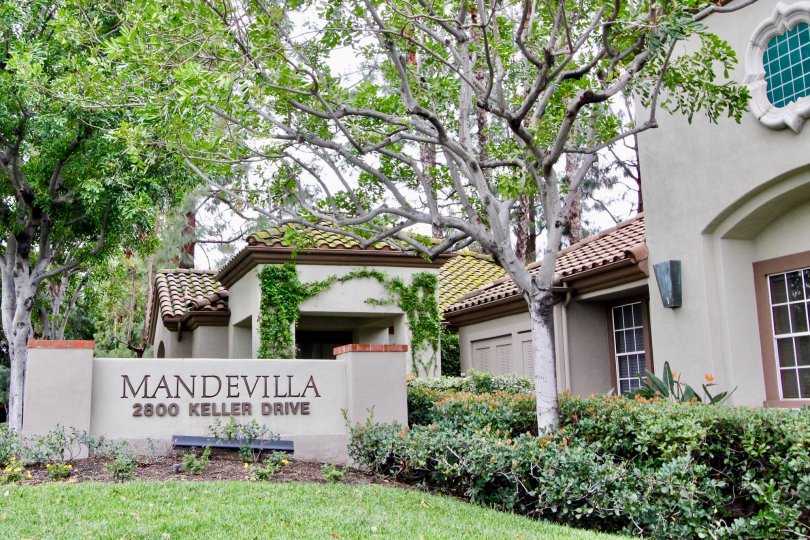 Mandevilla Condos, Lofts & Townhomes For Sale Mandevilla Real Estate