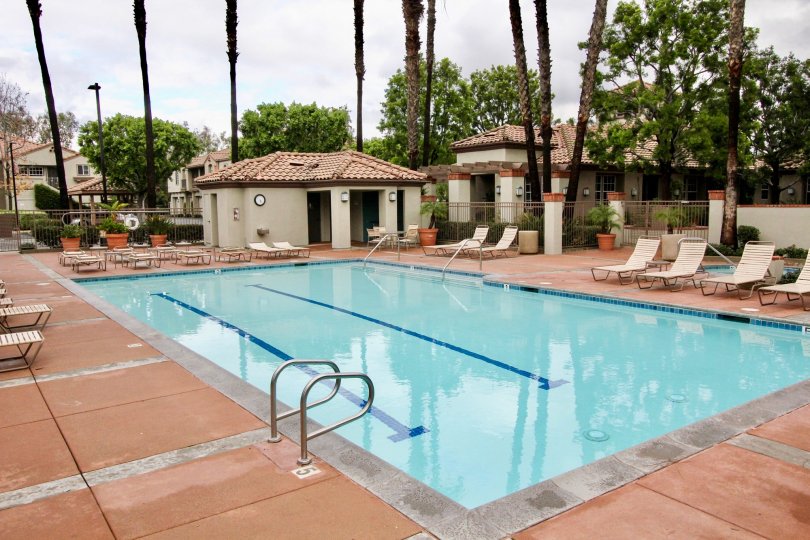 Mandevilla Condos, Lofts & Townhomes For Sale Mandevilla Real Estate