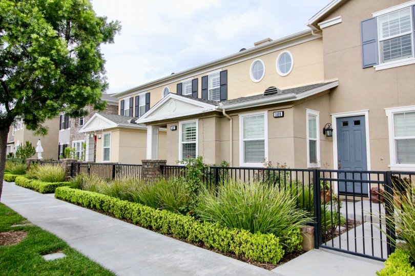 Mirabella Condos, Lofts & Townhomes For Sale Mirabella Real Estate