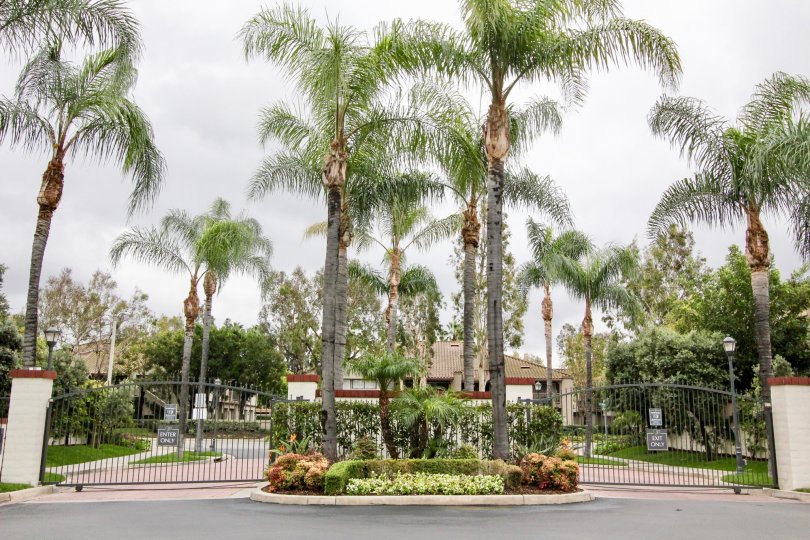 Miramonte Condos, Lofts & Townhomes For Sale Miramonte Real Estate