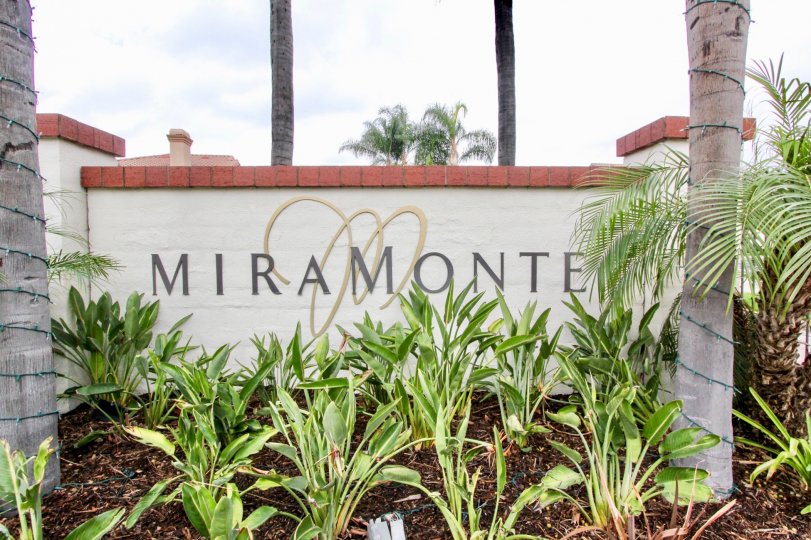 Miramonte Condos, Lofts & Townhomes For Sale Miramonte Real Estate