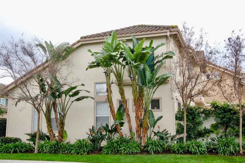 Miramonte Condos, Lofts & Townhomes For Sale Miramonte Real Estate