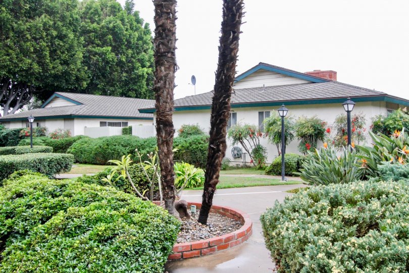 Palmwood Gardens Condos, Lofts & Townhomes For Sale Palmwood Gardens