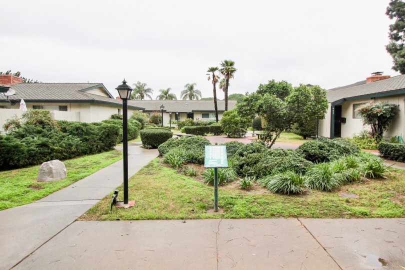 Palmwood Gardens Condos, Lofts & Townhomes For Sale Palmwood Gardens