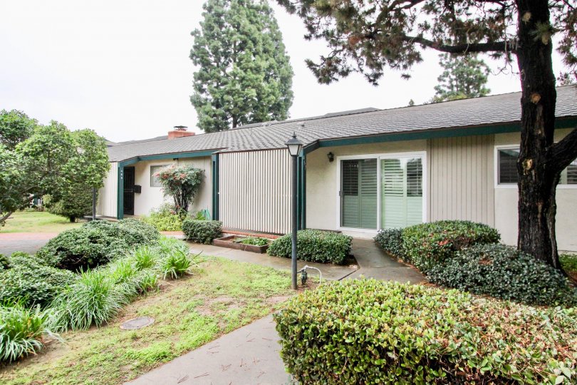 Palmwood Gardens Condos, Lofts & Townhomes For Sale Palmwood Gardens