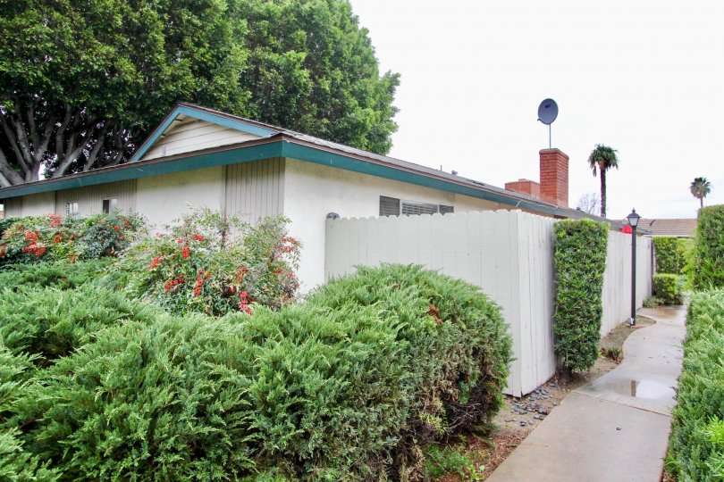 Palmwood Gardens Condos, Lofts & Townhomes For Sale Palmwood Gardens