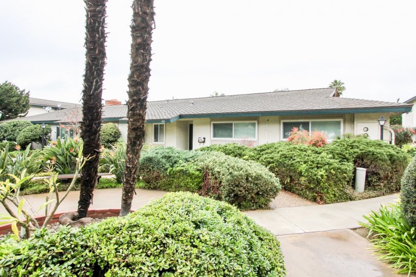 Palmwood Gardens Condos, Lofts & Townhomes For Sale Palmwood Gardens