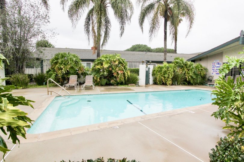 Palmwood Gardens Condos, Lofts & Townhomes For Sale Palmwood Gardens