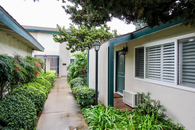 Palmwood Gardens Condos, Lofts & Townhomes For Sale Palmwood Gardens