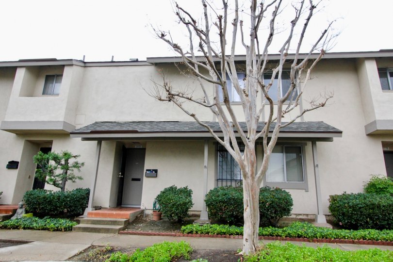 Park Tustin Condos, Lofts & Townhomes For Sale Park Tustin Real Estate Park Tustin, Tustin CA