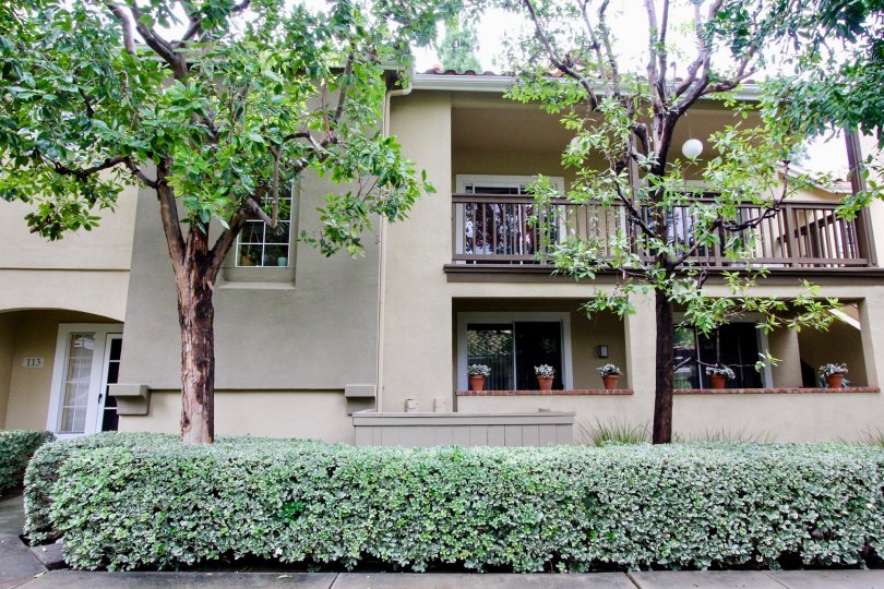 Shadow Canyon Condos, Lofts & Townhomes For Sale Shadow Canyon Real