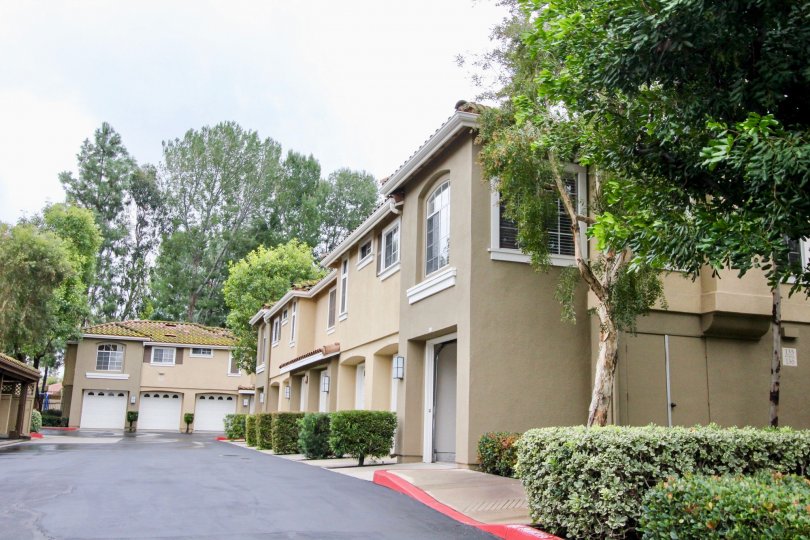 Shadow Canyon Condos, Lofts & Townhomes For Sale Shadow Canyon Real Estate Shadow Canyon