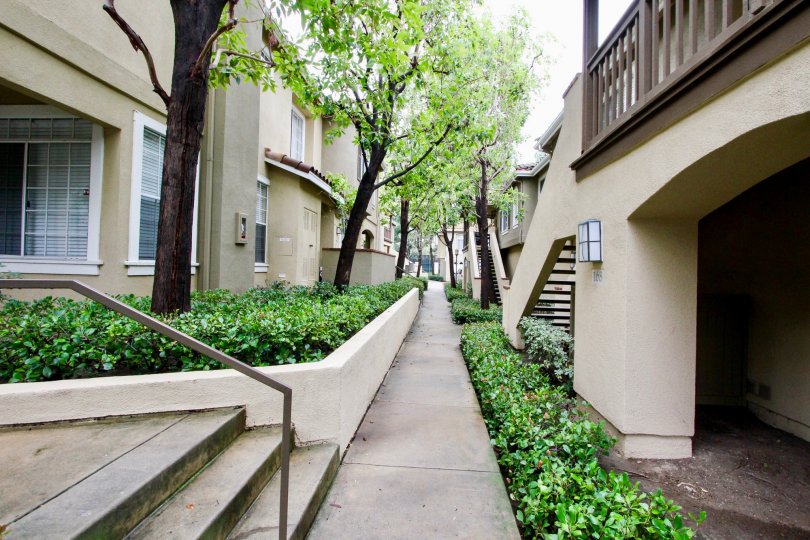 Shadow Canyon Condos, Lofts & Townhomes For Sale Shadow Canyon Real