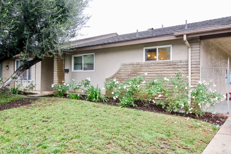 Tustin Verdes Condos, Lofts & Townhomes For Sale Tustin Verdes Real