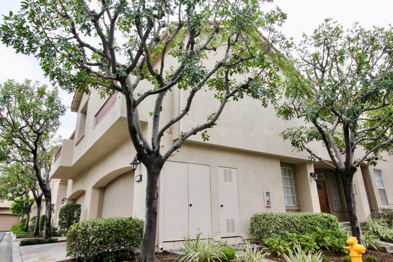 Ventana Condos, Lofts & Townhomes For Sale Ventana Real Estate