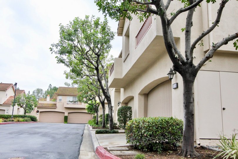 Ventana Condos, Lofts & Townhomes For Sale Ventana Real Estate