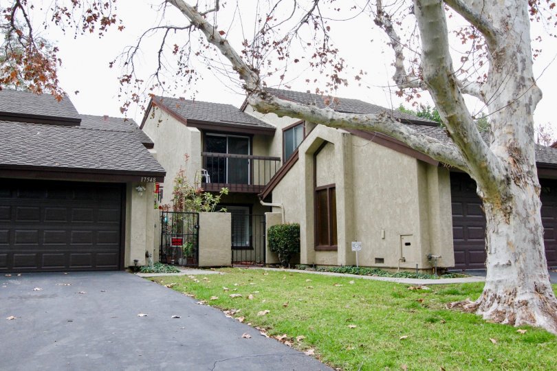 Cerro Verde Condos, Lofts & Townhomes For Sale Cerro Verde Real