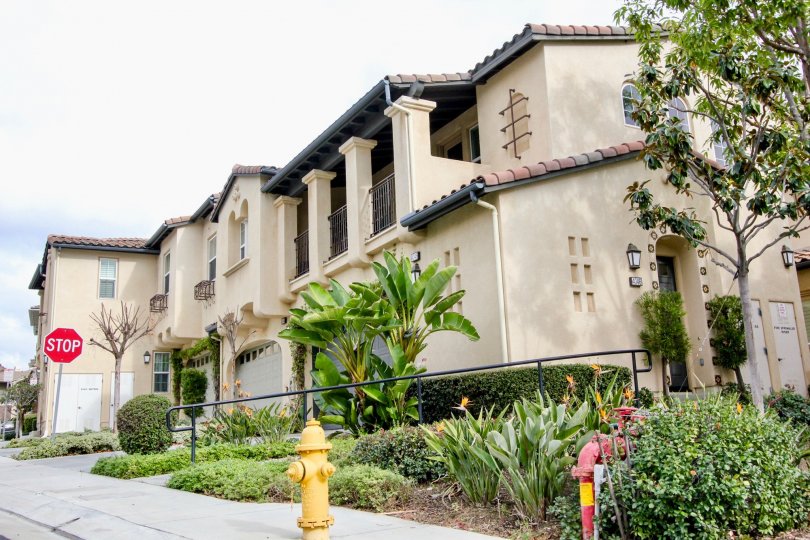 San Lorenzo Condos, Lofts & Townhomes For Sale San Lorenzo Real