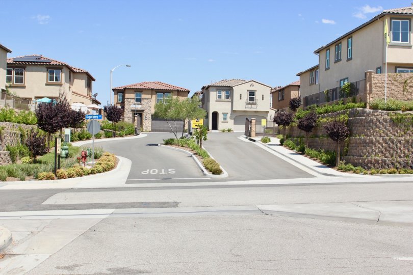 Seneca Condos, Lofts & Townhomes For Sale Seneca Real Estate Seneca